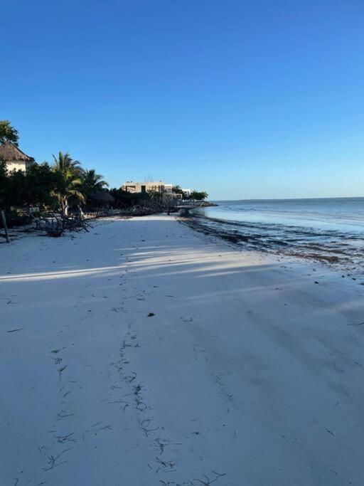 Casa Molly Apartment Isla Holbox ภายนอก รูปภาพ
